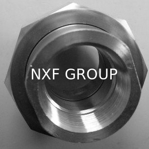 NXF UNS S31008 ASTM A403 310S/0Cr25Ni20/1.4845 DN15-1200 Class3000-9000 310S Stainless Steel SW and THD UNION