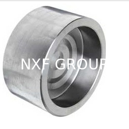 NXF UNS S31008 ASTM A403 310S/0Cr25Ni20/1.4845 DN15-1200 Class3000-9000 310S Stainless Steel Socket Welding Cap