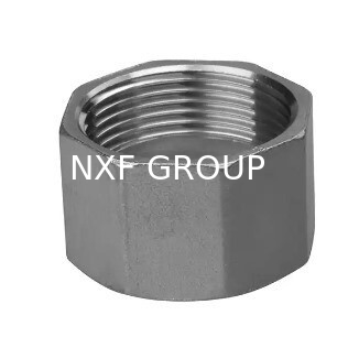 NXF UNS S31008 ASTM A403 310S/0Cr25Ni20/1.4845 DN6-100 Class3000-9000 High Pressure Stainless Steel Threaded Cap