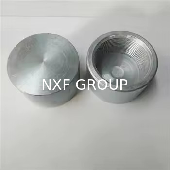 NXF UNS S31008 ASTM A403 310S/0Cr25Ni20/1.4845 DN6-100 Class3000-9000 High Pressure Stainless Steel Threaded Cap