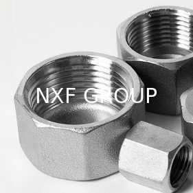 NXF UNS S31008 ASTM A403 310S/0Cr25Ni20/1.4845 DN6-100 Class3000-9000 High Pressure Stainless Steel Threaded Cap