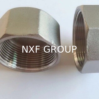 NXF UNS S31008 ASTM A403 310S/0Cr25Ni20/1.4845 DN6-100 Class3000-9000 High Pressure Stainless Steel Threaded Cap