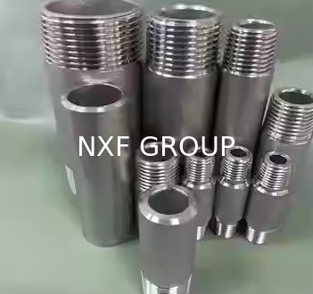 NXF UNS S31008 ASTM A403 310S/0Cr25Ni20/1.4845 DN6-100 Class3000-9000 High Pressure 310S Stainless Steel Threaded Nipple