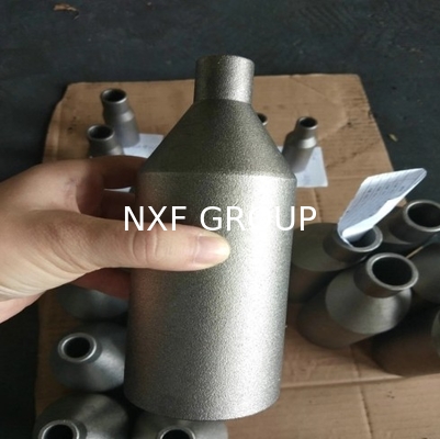 NXF UNS S31008 ASTM A403 310S/0Cr25Ni20/1.4845 DN6-300 Class3000-9000 High Pressure 310S Stainless Steel Swaged Nipple